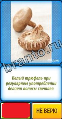 ответы на игру Ты не поверишь Уровень 241