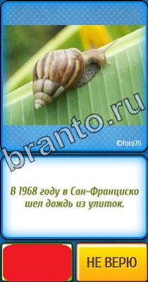 Ты не поверишь: Уровень 309 Ты не поверишь подсказки Уровень 309