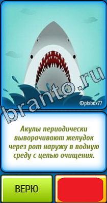 ответы на игру в одноклассниках Ты не поверишь Уровень 316