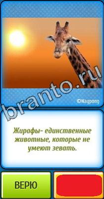 Ты не поверишь: Уровень 319 Ты не поверишь подсказки Уровень 319