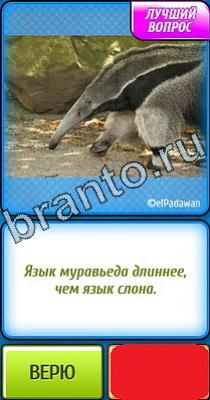 Ты не поверишь: Уровень 325 ответы к игре Ты не поверишь Уровень 325