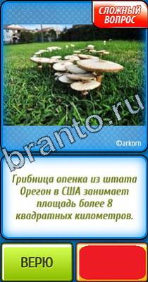 Ты не поверишь ответы Уровень 328