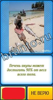 Подсказки на игру Ты не поверишь Уровень 332