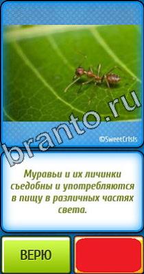 Помощь на игру Ты не поверишь Уровень 334