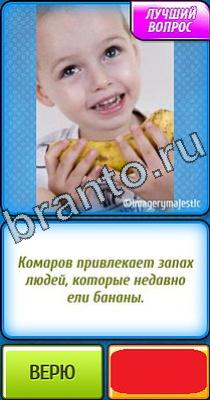 Ты не поверишь: Уровень 335 ответы к игре Ты не поверишь Уровень 335