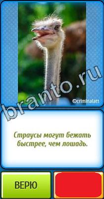 Ты не поверишь: Уровень 337 Ты не поверишь игра ответы в одноклассниках Уровень 337