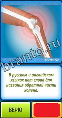 Ты не поверишь: Уровень 341 ответы на игру Ты не поверишь Уровень 341