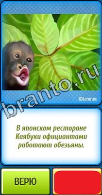 Подсказки на игру Ты не поверишь Уровень 342