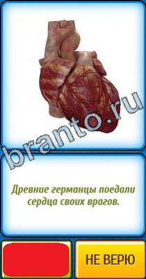 ответы на игру в одноклассниках Ты не поверишь Уровень 346