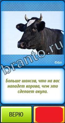 Ты не поверишь: Уровень 347 Ты не поверишь игра ответы в одноклассниках Уровень 347