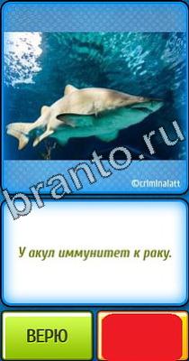 Ты не поверишь: Уровень 349 Ты не поверишь подсказки Уровень 349
