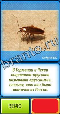 Ты не поверишь помощь Уровень 350