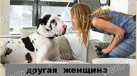 Игра Oscar - Отгадай фильм ответы вк Уровень 48