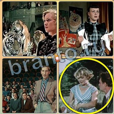 Игра Фильмы - помоги котику ответы вконтакте Уровень 207