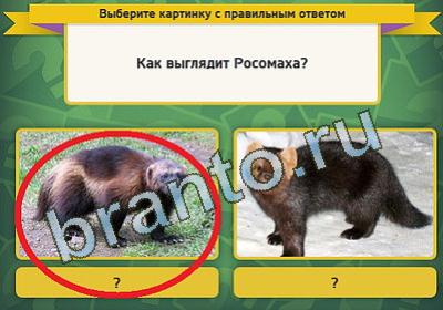 Выбирайка игра помощь Уровень 105