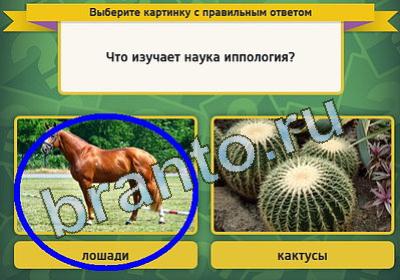 Выбирайка ответы в картинках Уровень 106