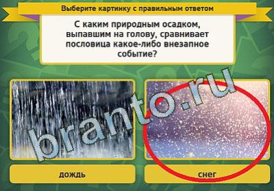 игра Выбирайка ответ на Уровень 110