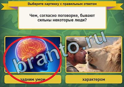 Выбирайка ответы в картинках Уровень 116