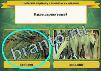 Игра Выбирайка ответы Уровень 117