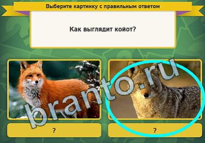 ответы к игре Выбирайка Уровень 125