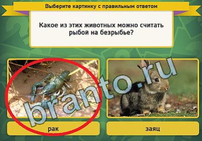 Выбирайка игра подсказки Уровень 144