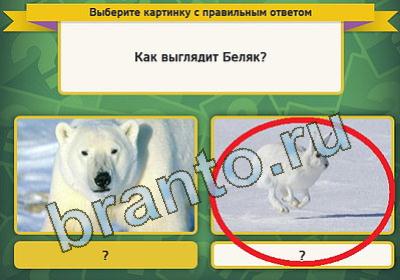 Выбирайка решения Уровень 162