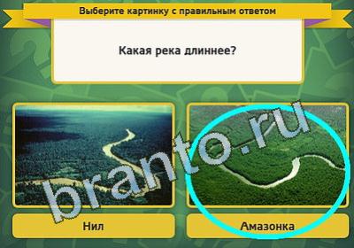 Выбирайка игра ответы Уровень 173