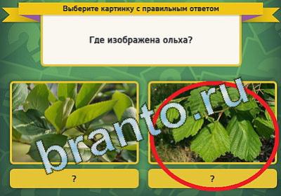 Выбирайка решения Уровень 1452