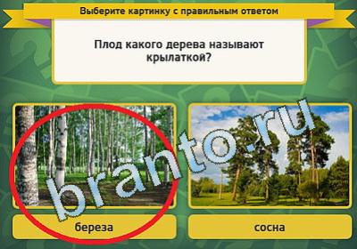 Выбирайка игра ответы Уровень 1453