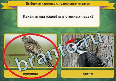 Выбирайка ответы в картинках Уровень 1486