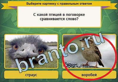 игра Выбирайка ответ на Уровень 1490