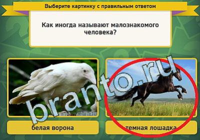 Выбирайка игра подсказки Уровень 1494