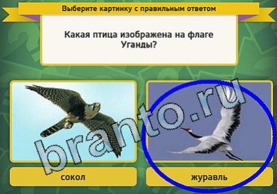ответы к игре Выбирайка Уровень 1505