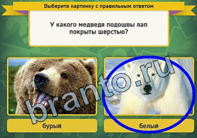 ответы на игру в одноклассниках Выбирайка Уровень 1506