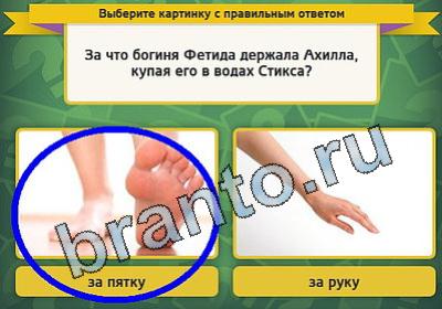 Выбирайка игра подсказки Уровень 1554