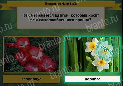 Решения на игру Выбирайка Уровень 3