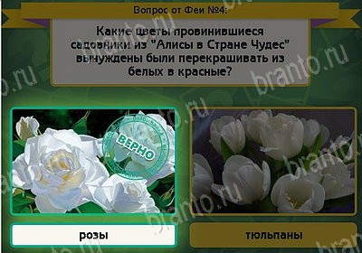 Помощь на игру ВК Выбирайка Уровень 4