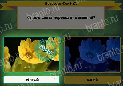 Выбирайка игра ответы в одноклассниках Уровень 7