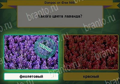Одноклассники Выбирайка ответы Уровень 8