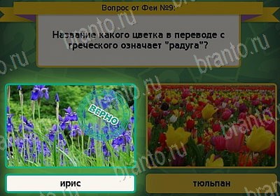 Выбирайка подсказки в контакте Уровень 9