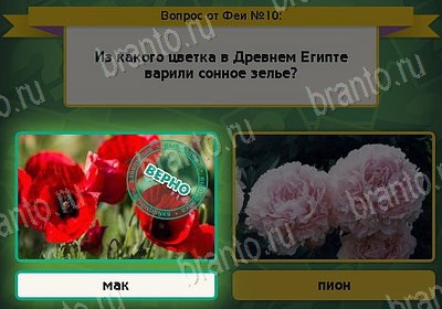 игра Выбирайка ответ на Уровень 10
