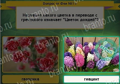 решебник на игру Выбирайка Уровень 11