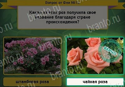 Выбирайка решения Уровень 12