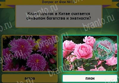 Выбирайка игра ответы Уровень 13