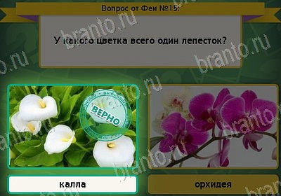 Выбирайка игра помощь Уровень 15