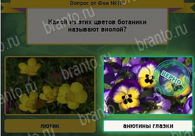 Игра Выбирайка подсказки Уровень 18