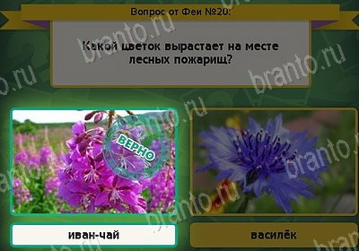 игра Выбирайка ответ на Уровень 20