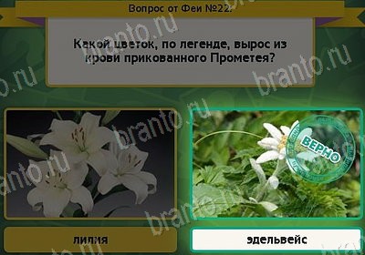 Выбирайка решения Уровень 22