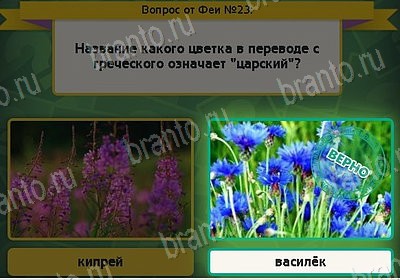 Выбирайка игра ответы Уровень 23