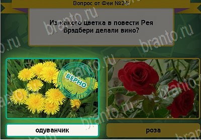 Выбирайка игра подсказки Уровень 24